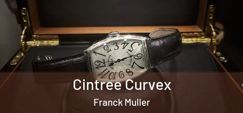 Cintree Curvex Franck Muller