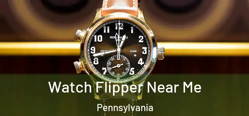 Watch Flipper Near Me Pennsylvania